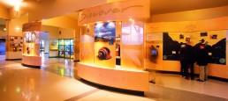 19933 Information Centre CD 258x115