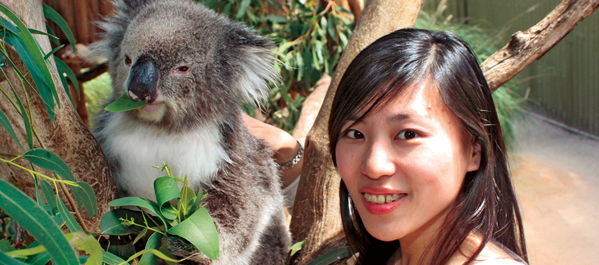 Maru Koala Animal Park