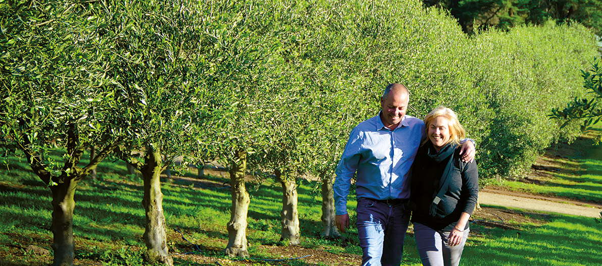 Grove Olive