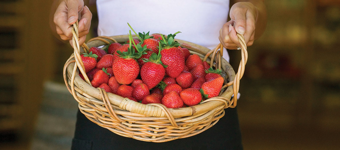 Sunny Ridge Strawberry Basket