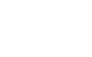 white sightseeing logo